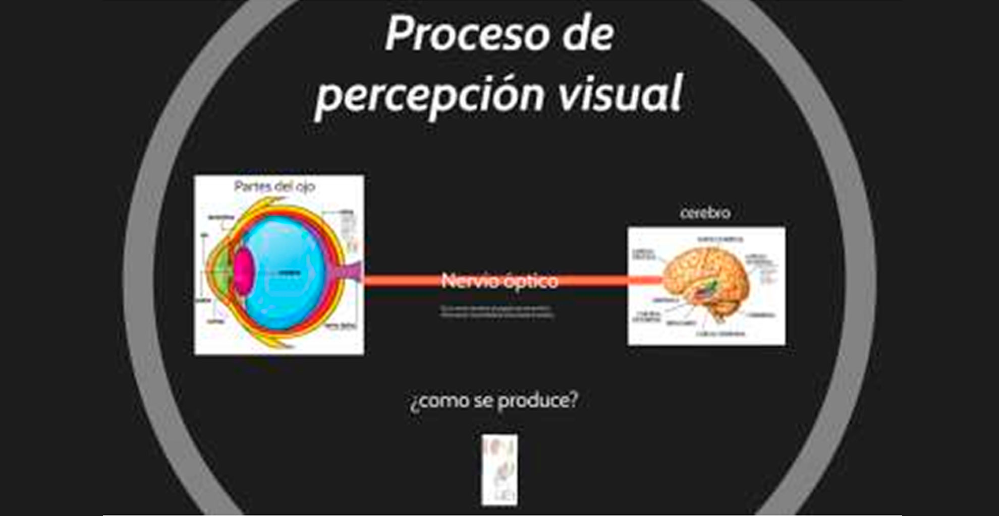 220607_Esguard-proces-percepcio-visual